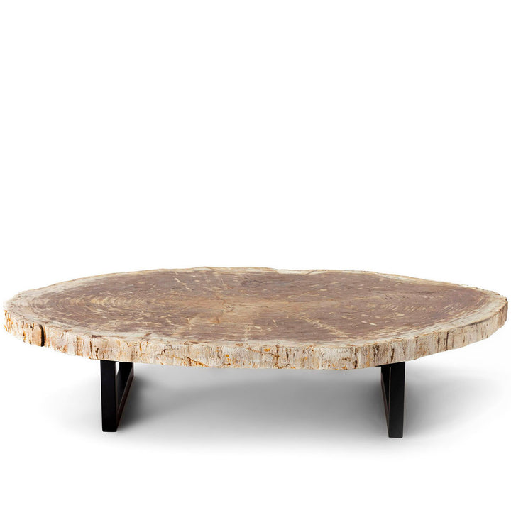 Grande table basse en bois fossilise naturel