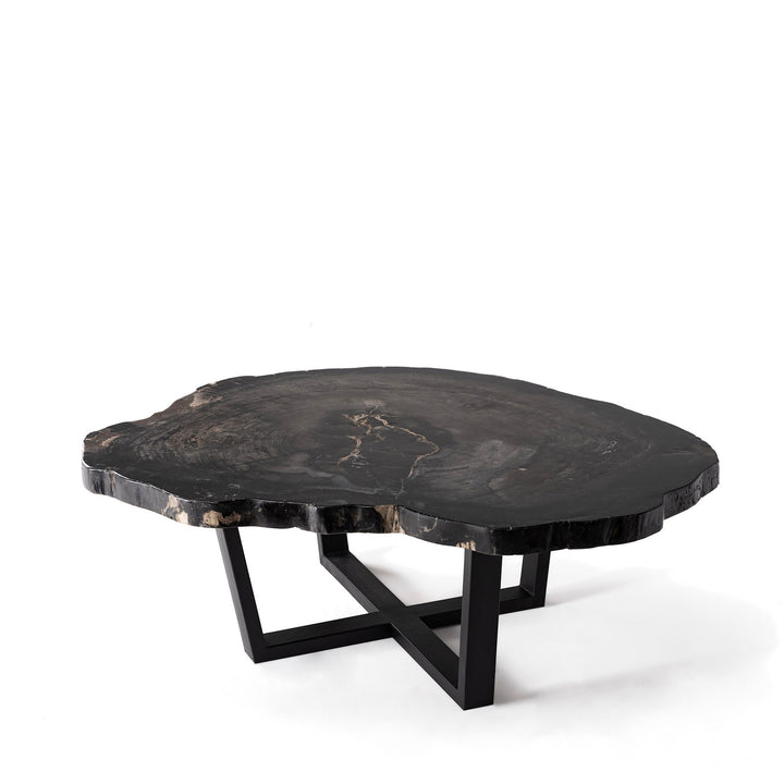 Meuble de type grande table basse en bois petrifié noir