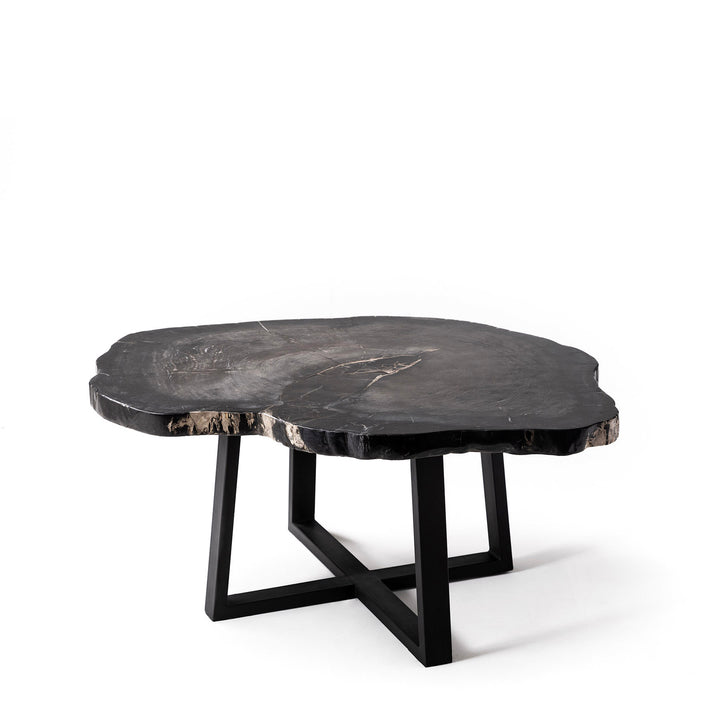 Grande table basse en bois petrifié noir aden