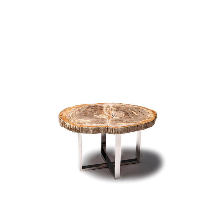 Meuble table basse en bois fossilisé