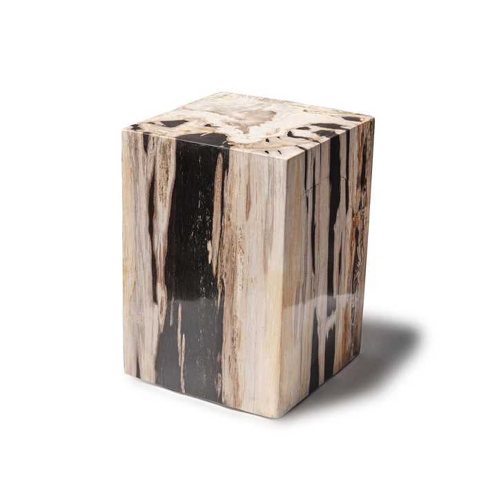 Bout de canapé cube en bois fossilisé Nergal