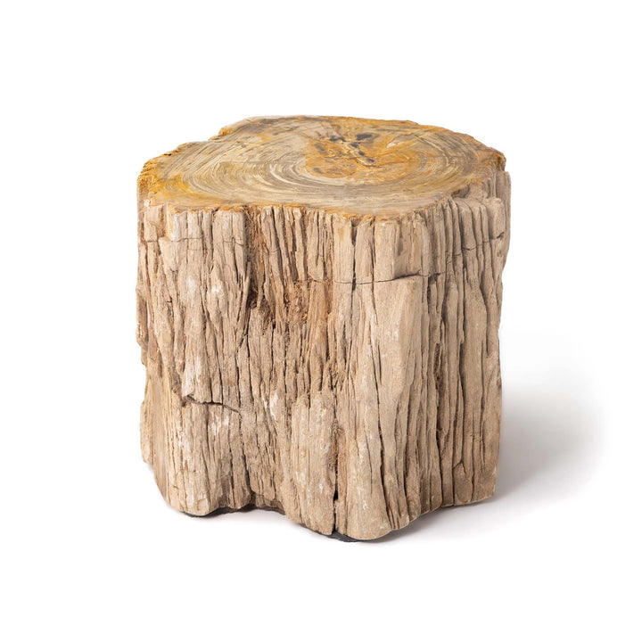 Bout de canapé en tronc de bois fossilisé couleur pierre naturel