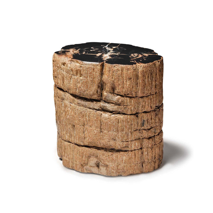 Bout de canape en tronc de bois fossilise naturel et noir
