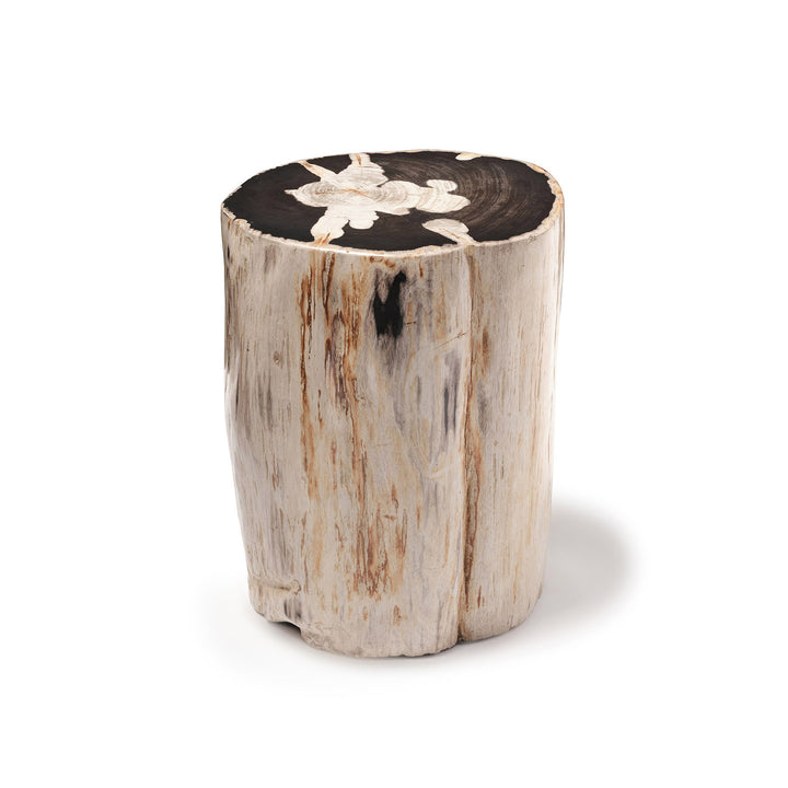 Bout de canape rond en tronc de bois fossilise blanc et noir