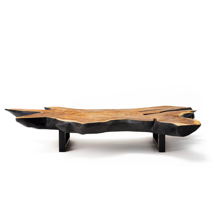 Grande Table basse en tronc de suar massif finition brule Amara